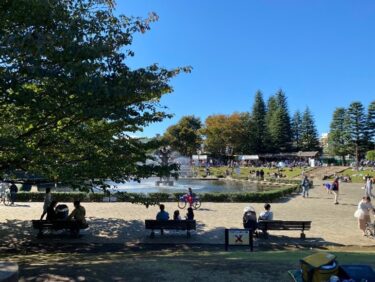 【鶴田ゼミ】週末は世田谷公園へ！