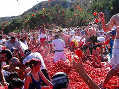 Flying Tomato Festival 