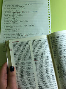 第1期生 フランス留学便り カーン大学11月編 その2 昭和女子大学 国際学部 国際学科