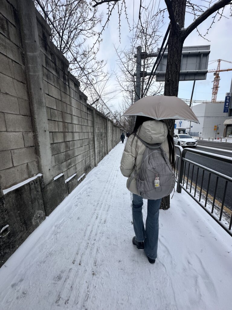 雪道を歩いて登校していたな