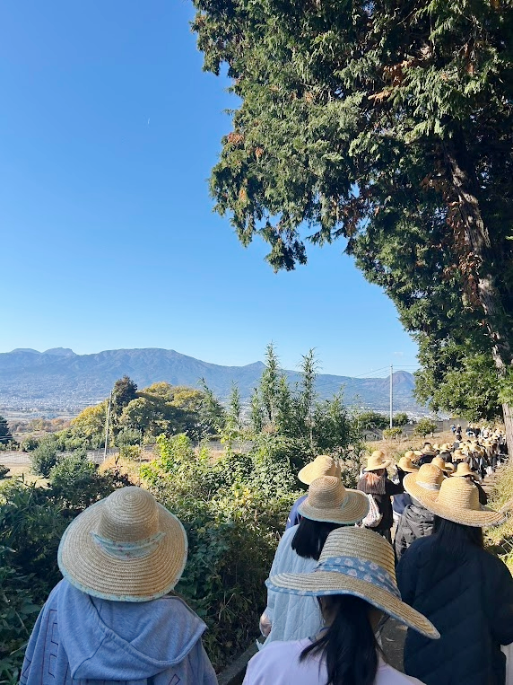 みかん狩りへ出発