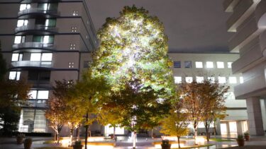 ある日の風景・4：日の入り～イルミネーション