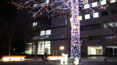 ある日の風景・5：もうすぐクリスマス🎄