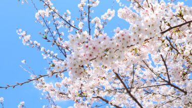 2026（令和8）年度 入学式