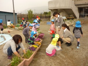 T花壇